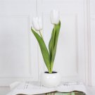 Tulip Lamp Desk Lamp LED, 2 head white