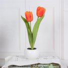 Tulip Lamp Desk Lamp LED, 2 head orange