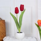Tulip Lamp Desk Lamp LED, 2 head red