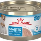 Royal Canin Size Health Nutrition Starter Mother & Babydog Canned Dog Food, 5.1-oz, case of 24