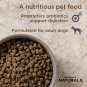 Diamond Naturals Lamb Meal & Rice Formula Adult Dry Dog Food, 2 x 40-lb bag