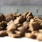 Blackwood Chicken Meal & Field Pea Recipe Grain-Free Dry Dog Food, 30-lb bag