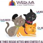 Weruva Truluxe Peking Ducken with Chicken & Duck in Gravy Canned Cat Food, 6-oz can, case of 24