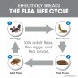 FRONTLINE Plus Flea and Tick Treatment for Medium Dogs Up to 23 to 44 lbs., 6 Treatments
