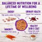 Wellness Complete Health Natural Grain Free Turkey & Salmon Pate Wet Cat Food, 5.5 oz., Case of 24