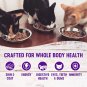 Wellness Complete Health Natural Chicken & Herring Pate Wet Cat Food, 5.5 oz., Case of 24