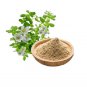 Organic Bacopa Powder Brain Health,Memory Booster, Focus Function & Clarity 200 g