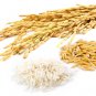 Rice Flour Red/Brown & White (Oryza Sativa) Gluten Free Organic 250 g