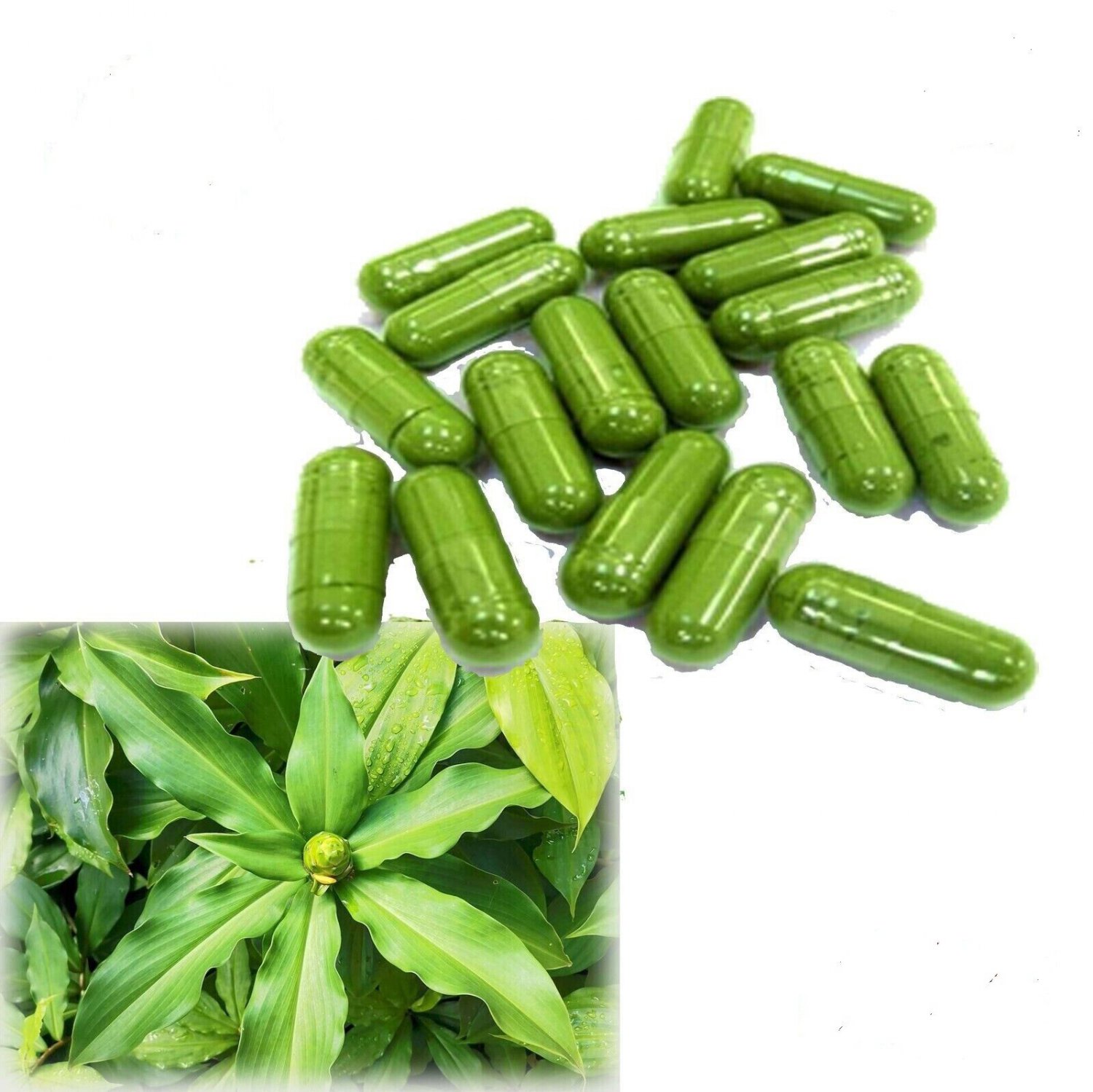 Organic Insulin plant/Canereed (Costus ignues) Leaf 90 Capsules Blood Sugar Support 3 Months Plan