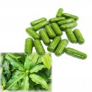 Organic Insulin plant/Canereed (Costus ignues) Leaf 90 Capsules Blood Sugar Support 3 Months Plan