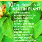 Organic Insulin plant/Canereed (Costus ignues) Leaf 90 Capsules Blood Sugar Support 3 Months Plan