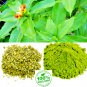 Organic Insulin plant/Canereed (Costus ignues) Leaf 90 Capsules Blood Sugar Support 3 Months Plan