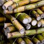 Organic Black Cane Sugar Sugarcane Saccharum Powder 225 g