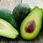 Organic Avocado Seed Powder Fiber Antioxidants Good For Blood Sugar & Digestion 200 g