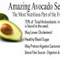 Organic Avocado Seed Powder Fiber Antioxidants Good For Blood Sugar & Digestion 200 g