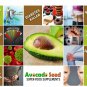 Organic Avocado Seed Powder Fiber Antioxidants Good For Blood Sugar & Digestion 200 g