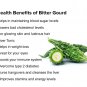 Organic Bitter Melon/Bitter Gourd 100 Tea Bags For Blood Sugar Control & Diabetic