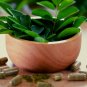 Organic Moringa Capsules Healthy Source Of Vitamins & Minerals -90 Capsule for 3 Months