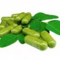 Organic Moringa Capsules Healthy Source Of Vitamins & Minerals -90 Capsule for 3 Months