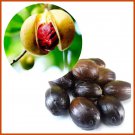 Ceylon Organic Nutmeg  Whole Seeds Without Shell 100 g