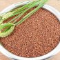 Organic Finger Millet Flour Ragi/Atta/Kurakkan Flour 250 g
