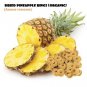 Organic Pineapple Air Dried Rings Natural Dehydrated (Ananas comosus) Fruit 200 g