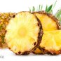 Organic Pineapple Air Dried Rings Natural Dehydrated (Ananas comosus) Fruit 200 g