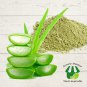 Organic Pure Aloe Vera Natural Plant Fresh  Herbal Powder 100 g