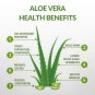 Organic Pure Aloe Vera Natural Plant Fresh  Herbal Powder 100 g