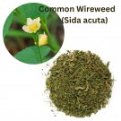 Organic Common Wireweed (Sida acuta) Dried Plant Roots & Leaves Natural Herb 100 g