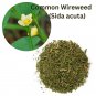 Organic Common Wireweed (Sida acuta) Dried Plant Roots & Leaves Natural Herb 100 g