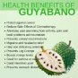 Organic Soursop Graviola Powder 100g Guanabana Tropical Natural Fruit Immune Booster