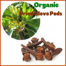 Ceylon Organic Dried Whole Clove 100g Caryophylli Flos Pods Best Aroma Spice