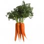 Organic Dried Carrot Powder 200 g (Antioxidant Beta Carotene For Eye Health & Immunity)