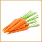 Organic Dried Carrot Powder 200 g (Antioxidant Beta Carotene For Eye Health & Immunity)