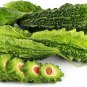 Organic Dried Bitter Gourd Melon Slice With Seeds (Momordica charantia) 200g