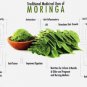 Organic Pure Moringa Leaf Moringa Oleifera Powder 250 g