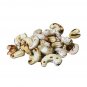 Pure Organic Burnt Whole Cashew Nut 200 g Best Cashews From Sri Lanka