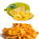 Organic Ripe Jackfruit Strips Dried/Dehydrated Healthy Food 450g (1 lb)