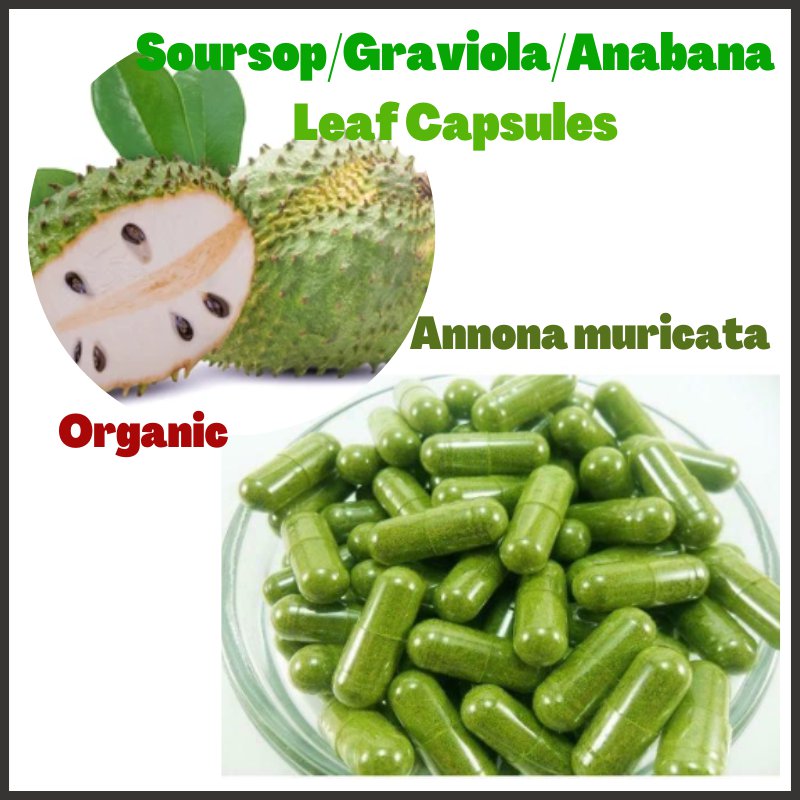 Organic Soursop/ Graviola Leaf Powder (Annona muricata) 60 Capsules 500 mg