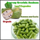 Organic Soursop/ Graviola Leaf Powder (Annona muricata) 60 Capsules 500 mg Organic Soursop/ Graviola Leaf Powder (Annona muricata) 60 Capsules 500 mg