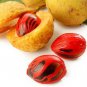 Organic Nutmeg Myristica Fragrans Whole Seeds Best Herbal Spice 100g