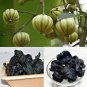 Organic Dried Garcinia Cambogia Brindleberry HAC Weight Loss & Lower Cholesterol 100g