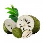 Organic Dehydrated Soursop/Graviola/Brazilian Pawpaw Fruit Pieces(Custard Apple) 150 g