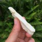 Organic Dehydrated Soursop/Graviola/Brazilian Pawpaw Fruit Pieces(Custard Apple) 150 g