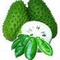 Organic Dehydrated Soursop/Graviola/Brazilian Pawpaw Fruit Pieces(Custard Apple) 150 g