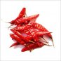 Organic Red Chili Dry Hot Pepper (Capsicum frutescens) Whole 450 g (1 lb)