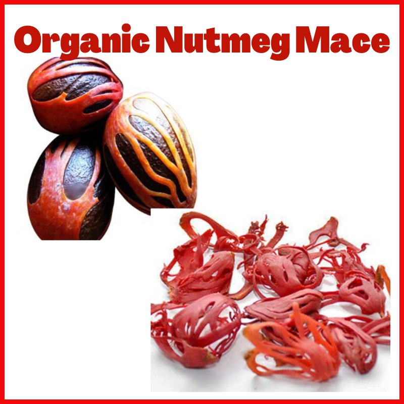 Organic Javentry Nutmeg Mace Whole 100 g Spice encourage Appetite