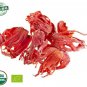Organic Javentry Nutmeg Mace Whole 100 g Spice encourage Appetite Digestion Aids