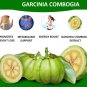 Organic Garcinia 90 Capsules Natural HAC For Fat Burning Weigt Loss Supplement
